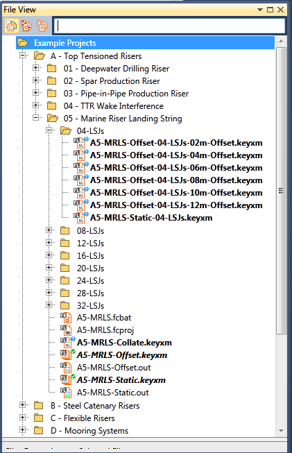 File & Folder Structure